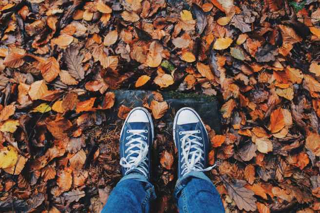 picture of person's shoes in the fall leaves
