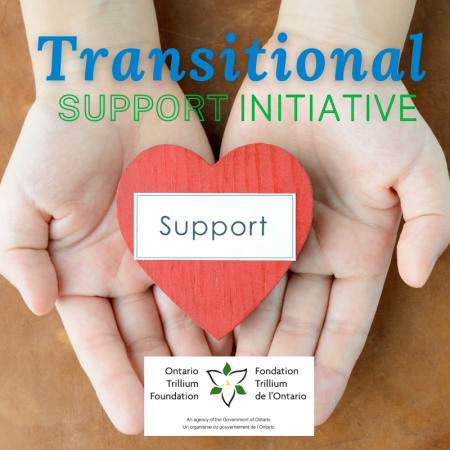 Transitional Support Initiative