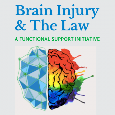 Brain Injury & The Law A functional support initiative