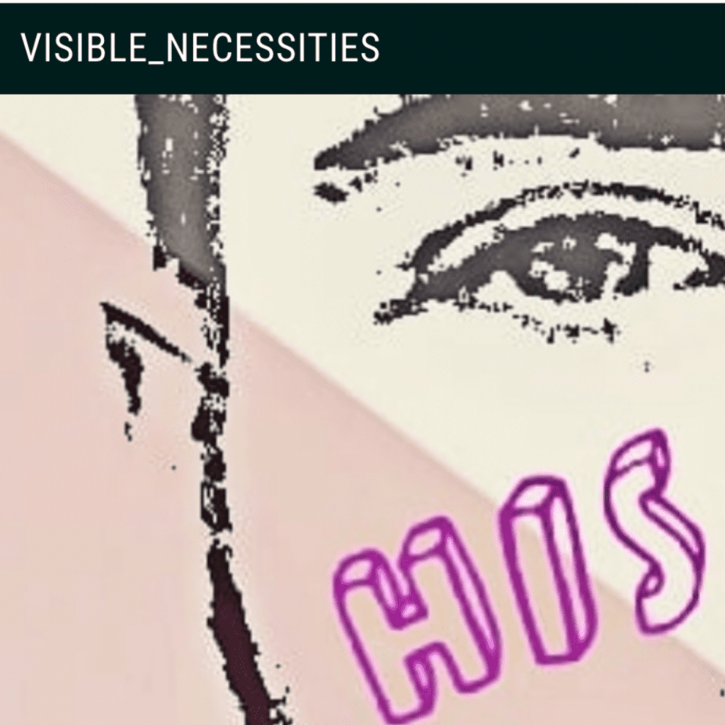 Visible_Necessities