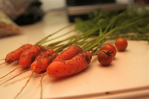carrots and tomatoes from a garden