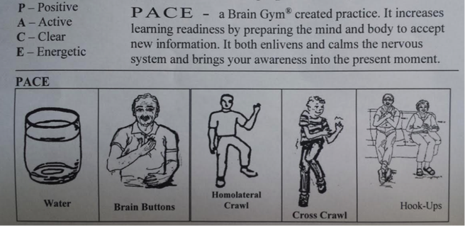 pace brain Gympace brain Gym